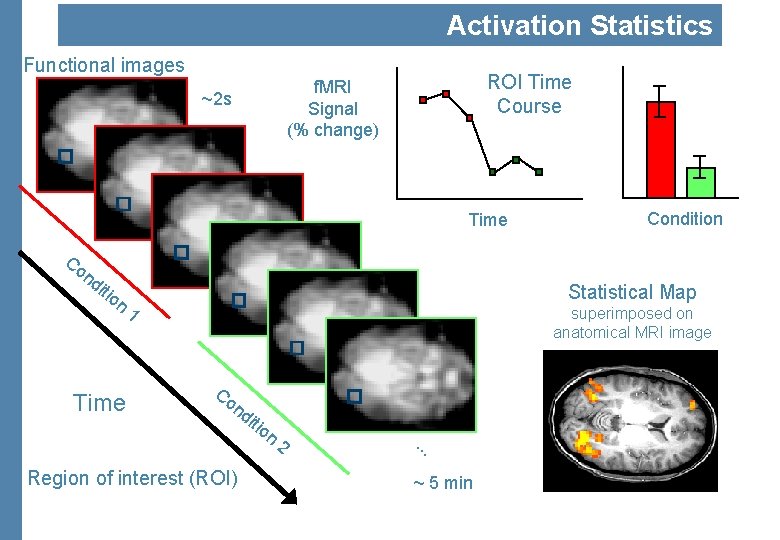 Activation Statistics Functional images ROI Time Course f. MRI Signal (% change) ~2 s