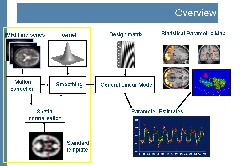 Overview f. MRI time-series Motion correction kernel Design matrix Smoothing General Linear Model Spatial