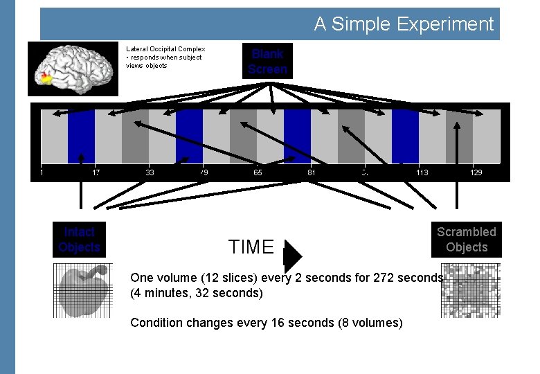 A Simple Experiment Lateral Occipital Complex • responds when subject views objects Intact Objects