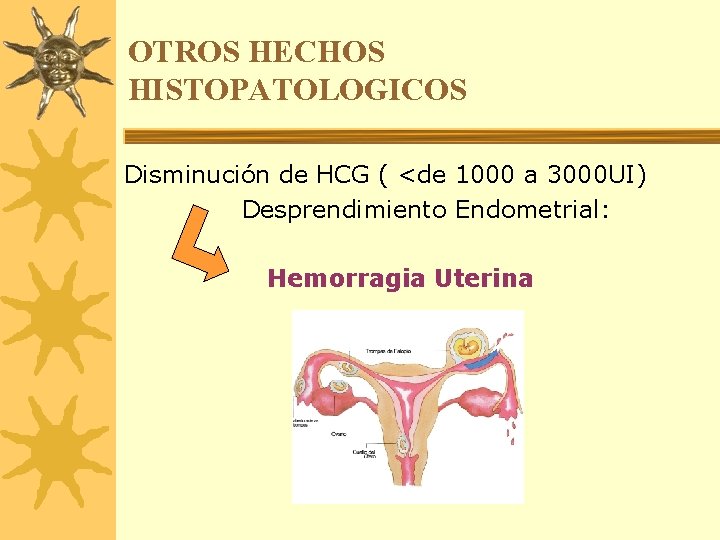 OTROS HECHOS HISTOPATOLOGICOS Disminución de HCG ( <de 1000 a 3000 UI) Desprendimiento Endometrial: