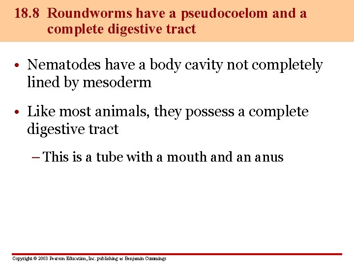 18. 8 Roundworms have a pseudocoelom and a complete digestive tract • Nematodes have