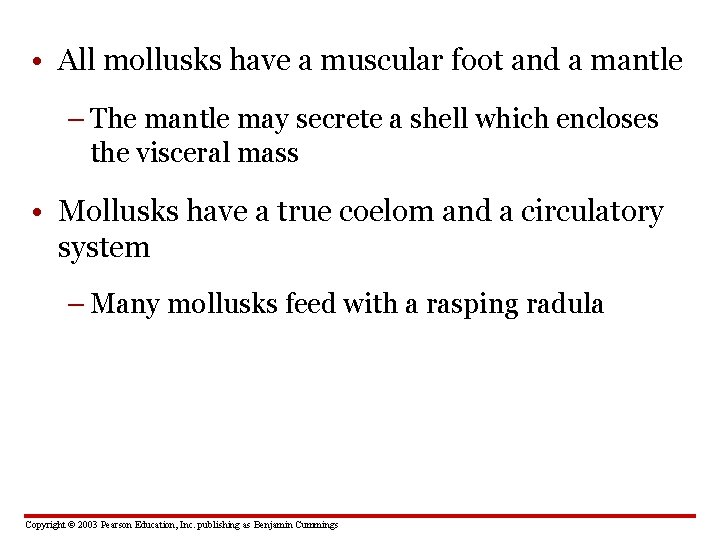  • All mollusks have a muscular foot and a mantle – The mantle