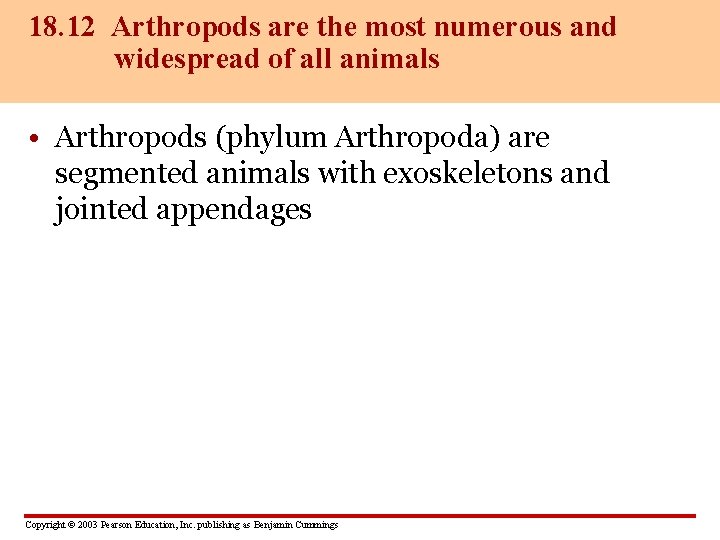 18. 12 Arthropods are the most numerous and widespread of all animals • Arthropods