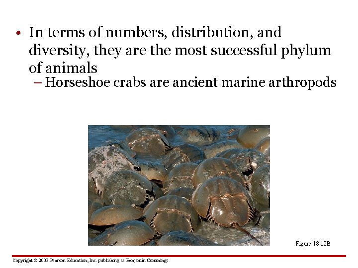  • In terms of numbers, distribution, and diversity, they are the most successful