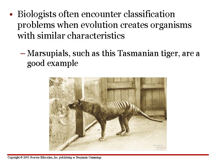  • Biologists often encounter classification problems when evolution creates organisms with similar characteristics