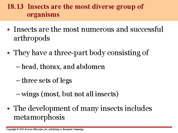 18. 13 Insects are the most diverse group of organisms • Insects are the