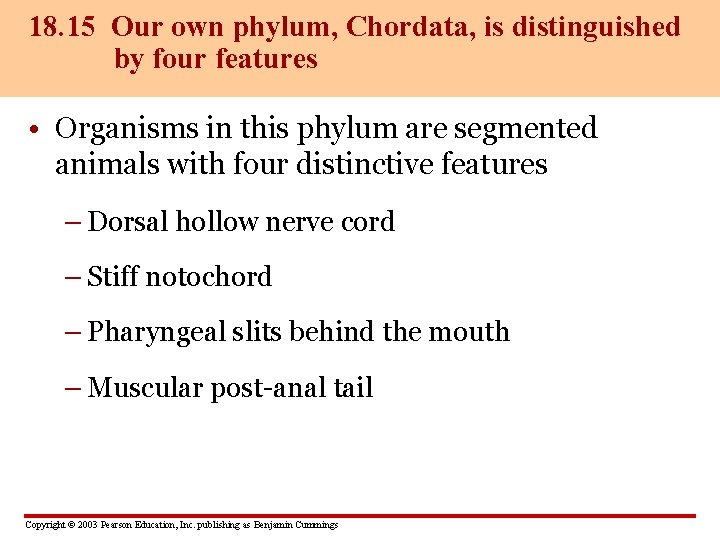 18. 15 Our own phylum, Chordata, is distinguished by four features • Organisms in