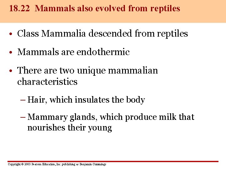 18. 22 Mammals also evolved from reptiles • Class Mammalia descended from reptiles •