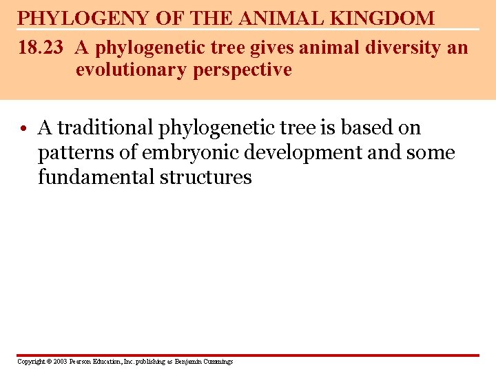 PHYLOGENY OF THE ANIMAL KINGDOM 18. 23 A phylogenetic tree gives animal diversity an