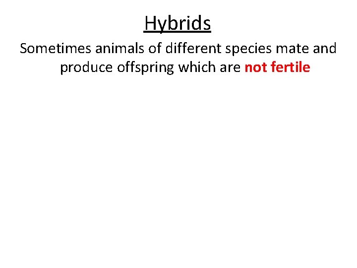 Hybrids Sometimes animals of different species mate and produce offspring which are not fertile