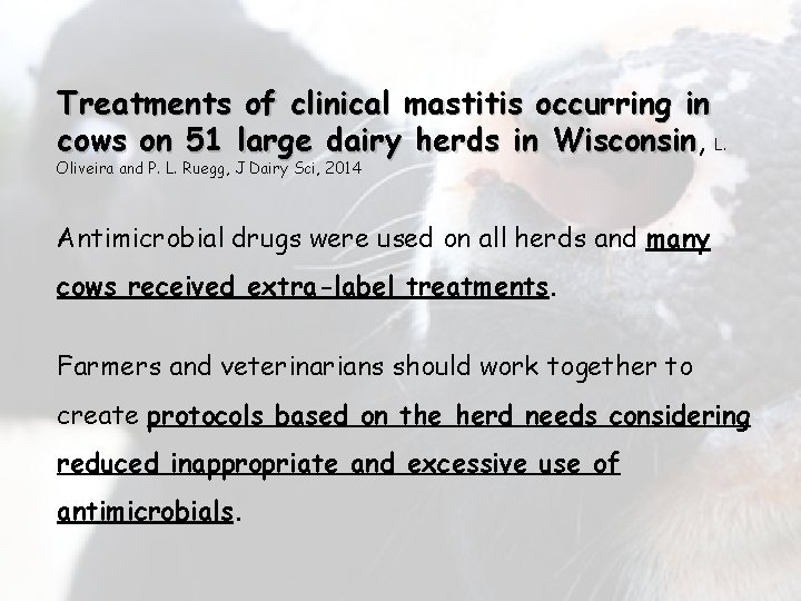Treatments of clinical mastitis occurring in cows on 51 large dairy herds in Wisconsin,