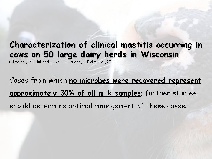 Characterization of clinical mastitis occurring in cows on 50 large dairy herds in Wisconsin,