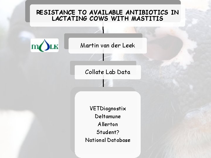 RESISTANCE TO AVAILABLE ANTIBIOTICS IN LACTATING COWS WITH MASTITIS Martin van der Leek Collate
