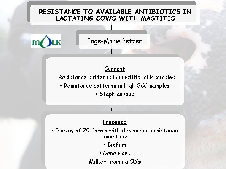 RESISTANCE TO AVAILABLE ANTIBIOTICS IN LACTATING COWS WITH MASTITIS Inge-Marie Petzer Current • Resistance