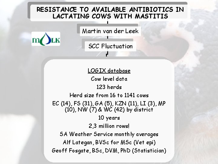 RESISTANCE TO AVAILABLE ANTIBIOTICS IN LACTATING COWS WITH MASTITIS Martin van der Leek SCC