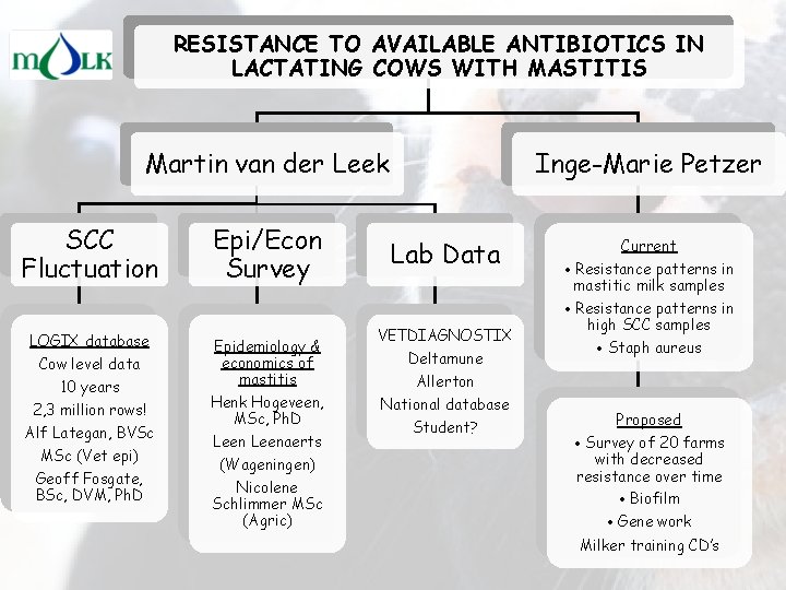 RESISTANCE TO AVAILABLE ANTIBIOTICS IN LACTATING COWS WITH MASTITIS Martin van der Leek SCC