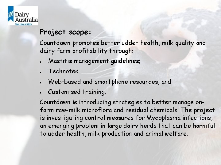 Project scope: Countdown promotes better udder health, milk quality and dairy farm profitability through:
