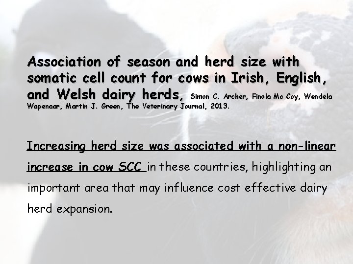 Association of season and herd size with somatic cell count for cows in Irish,