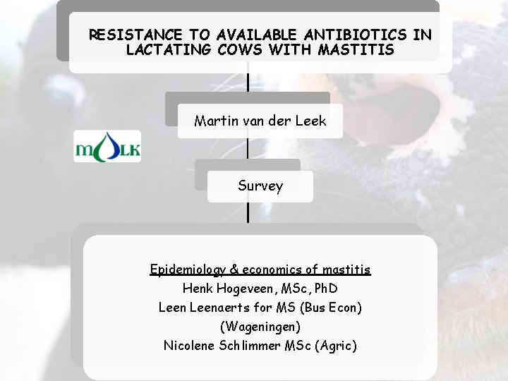 RESISTANCE TO AVAILABLE ANTIBIOTICS IN LACTATING COWS WITH MASTITIS Martin van der Leek Survey