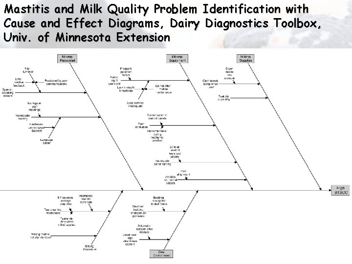 Mastitis and Milk Quality Problem Identification with Cause and Effect Diagrams, Dairy Diagnostics Toolbox,