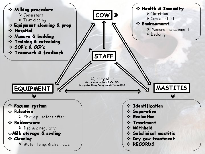 v Milking procedure Ø Consistent Ø Teat dipping v Equipment cleaning & prep v