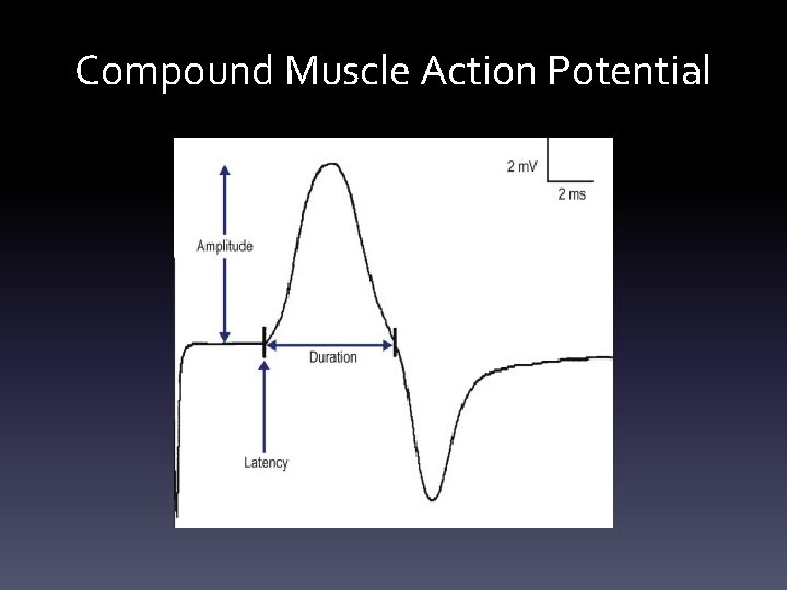 Compound Muscle Action Potential Compound Muscle Action Potential