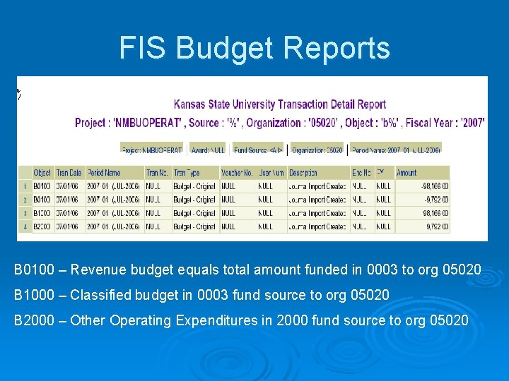 FIS Budget Reports B 0100 – Revenue budget equals total amount funded in 0003
