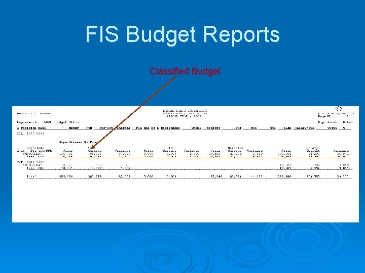 FIS Budget Reports Classified Budget 