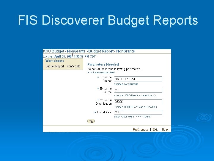 FIS Discoverer Budget Reports 