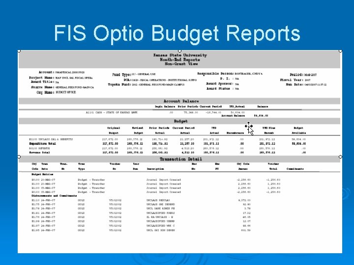 FIS Optio Budget Reports 