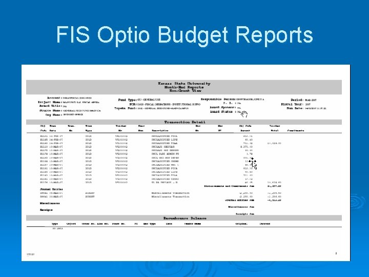 FIS Optio Budget Reports 