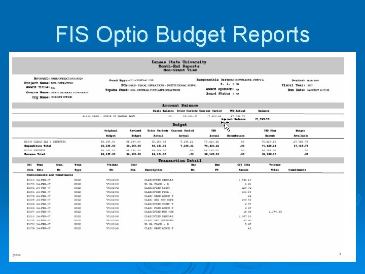 FIS Optio Budget Reports 