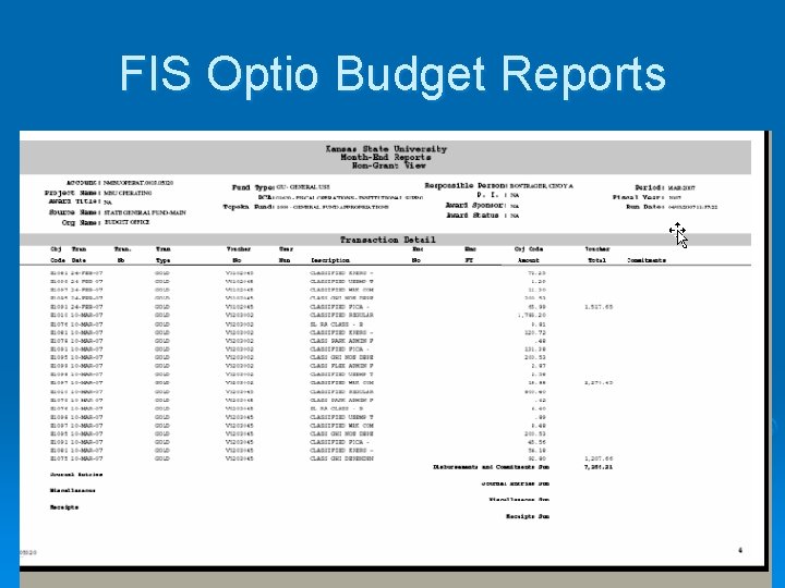 FIS Optio Budget Reports 