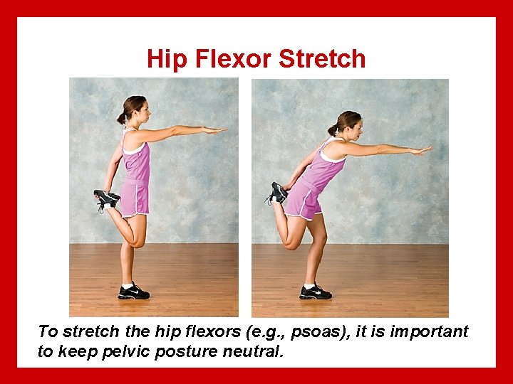 Hip Flexor Stretch To stretch the hip flexors (e. g. , psoas), it is