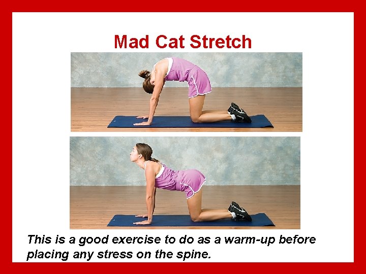 Mad Cat Stretch This is a good exercise to do as a warm-up before