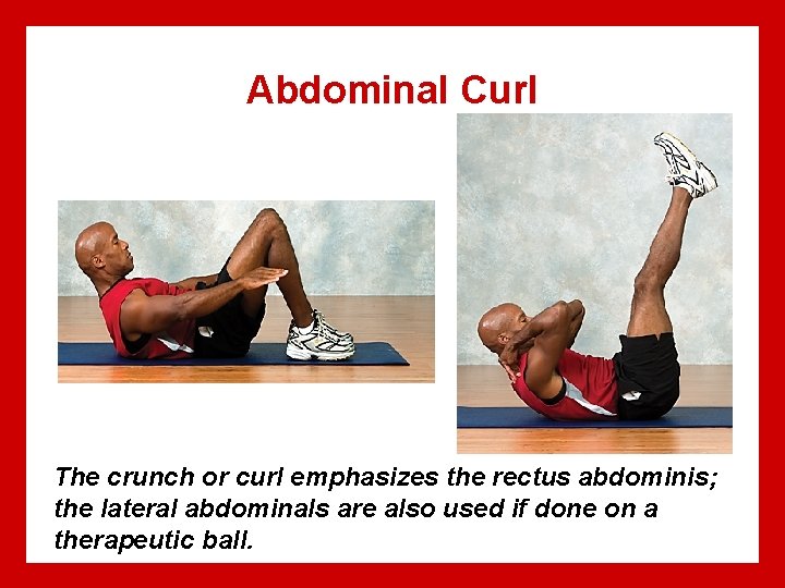 Abdominal Curl The crunch or curl emphasizes the rectus abdominis; the lateral abdominals are