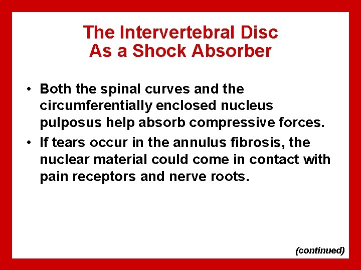 The Intervertebral Disc As a Shock Absorber • Both the spinal curves and the