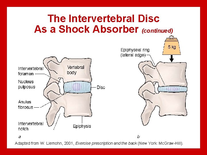 The Intervertebral Disc As a Shock Absorber (continued) Adapted from W. Liemohn, 2001, Exercise