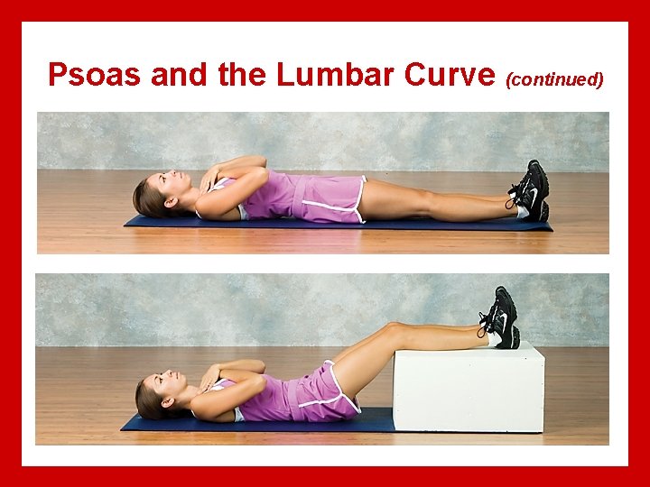 Psoas and the Lumbar Curve (continued) 