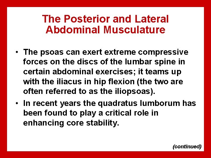 The Posterior and Lateral Abdominal Musculature • The psoas can exert extreme compressive forces