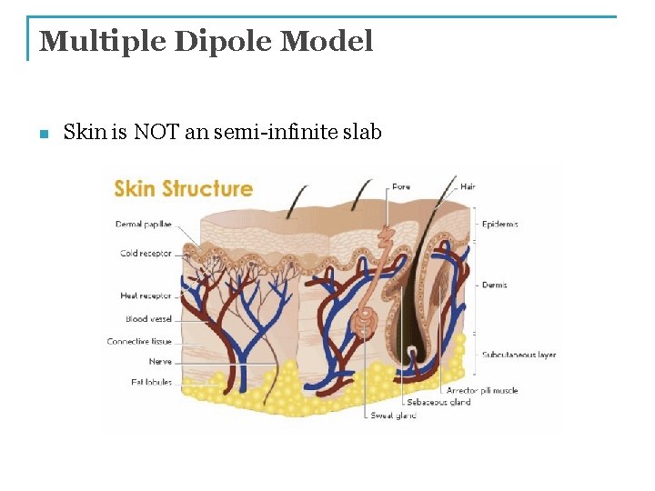 Multiple Dipole Model n Skin is NOT an semi-infinite slab 
