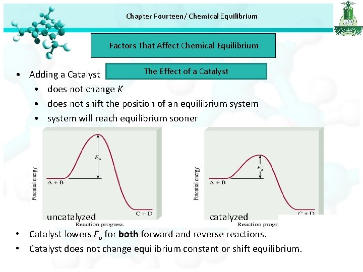 Chapter Fourteen/ Chemical Equilibrium Factors That Affect Chemical Equilibrium The Effect of a Catalyst