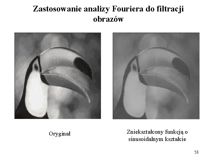 Zastosowanie analizy Fouriera do filtracji obrazów Oryginał Zniekształcony funkcją o sinusoidalnym kształcie 58 