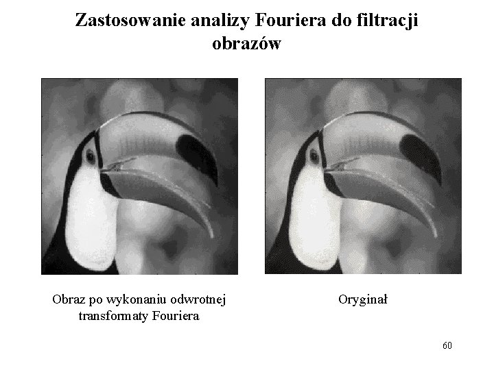 Zastosowanie analizy Fouriera do filtracji obrazów Obraz po wykonaniu odwrotnej transformaty Fouriera Oryginał 60