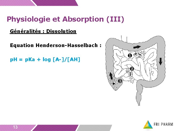Physiologie et Absorption (III) Généralités : Dissolution Equation Henderson-Hasselbach : p. H = p.