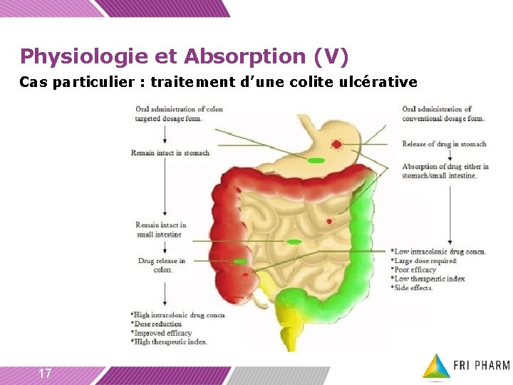 Physiologie et Absorption (V) Cas particulier : traitement d’une colite ulcérative 17 