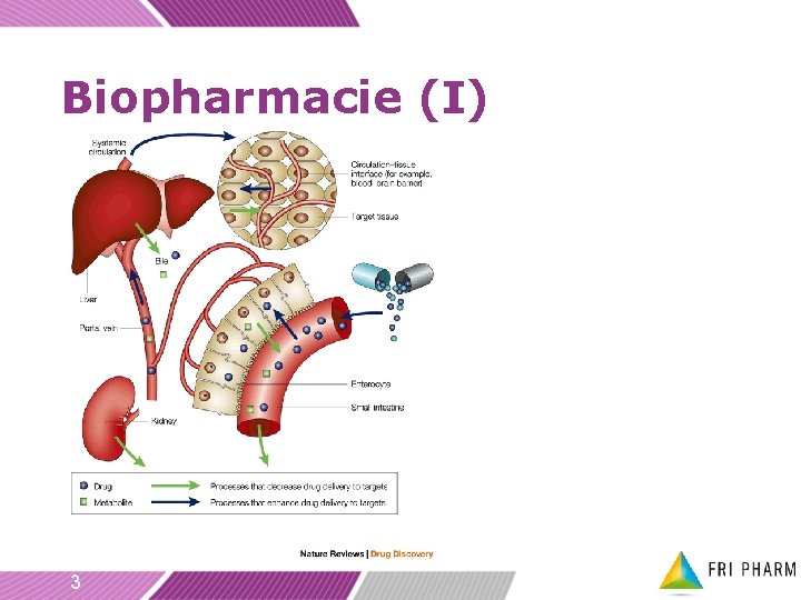 Biopharmacie (I) 3 