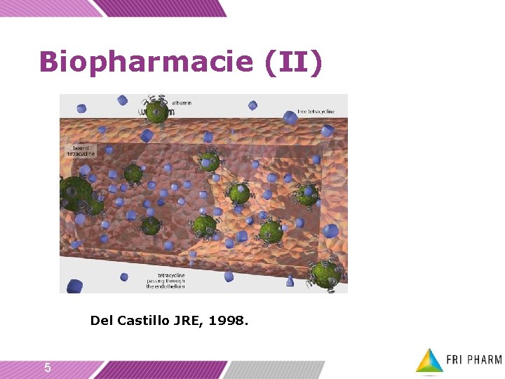 Biopharmacie (II) Del Castillo JRE, 1998. 5 