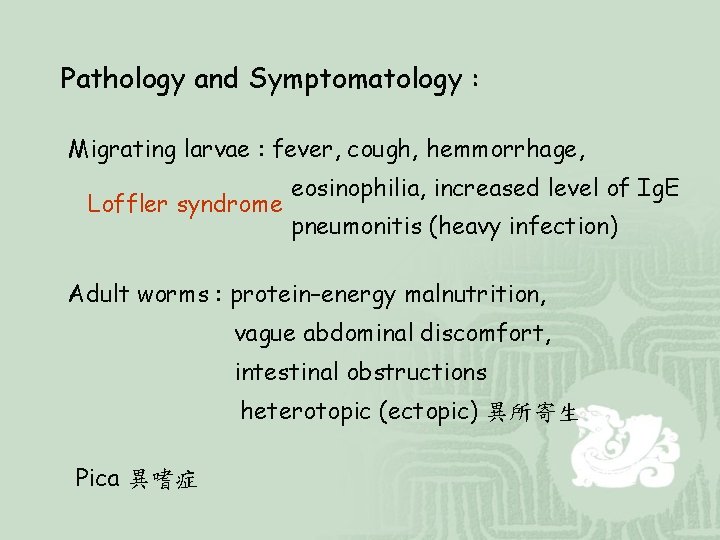 Pathology and Symptomatology : Migrating larvae : fever, cough, hemmorrhage, Loffler syndrome eosinophilia, increased