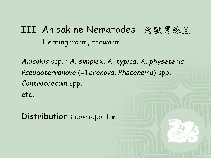 III. Anisakine Nematodes 海獸胃線蟲 Herring worm, codworm Anisakis spp. : A. simplex, A. typica,